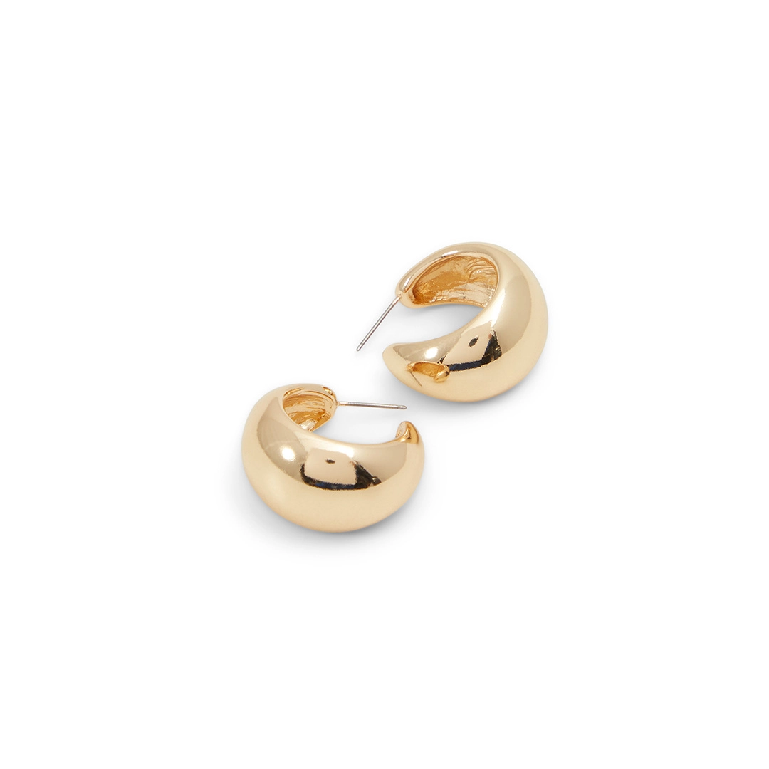 ALDO Accessories Earrings in Gold